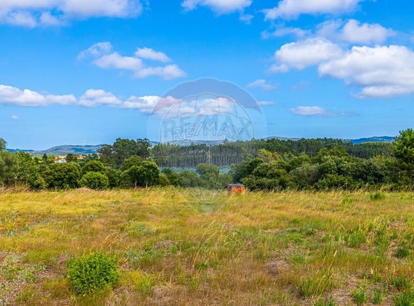 Leiria, Leiria District 2480-062