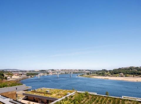 Porto, Porto