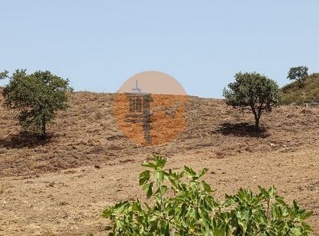Fonte, Castro Marim, Faro 8950-184