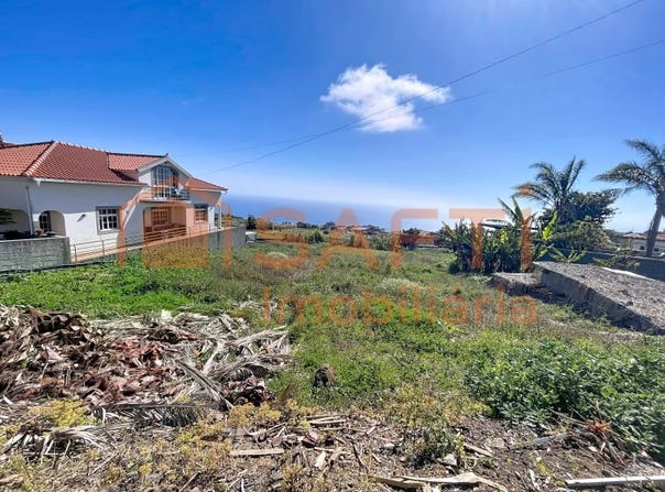 Canhas, Madeira