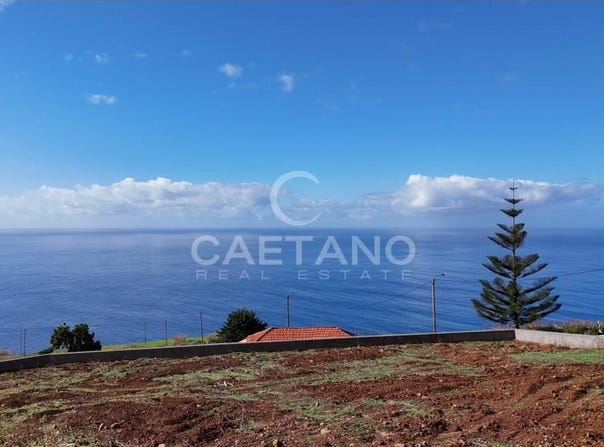 Estreito Da Calheta, Madeira 9370