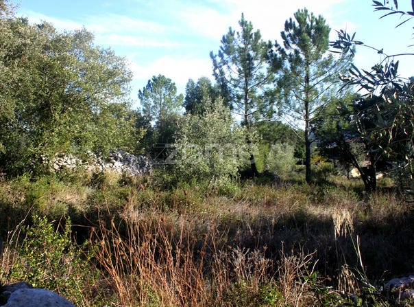 Porto de Mós, Leiria District