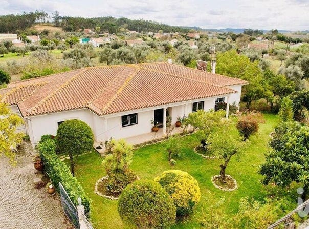 Pelariga, Leiria 3105