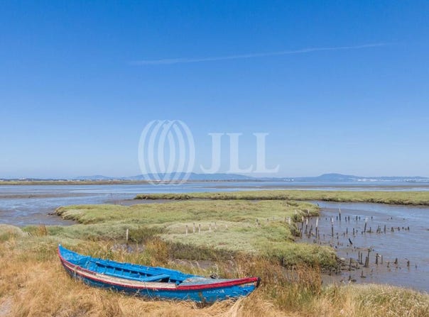 Comporta, Setúbal 7580