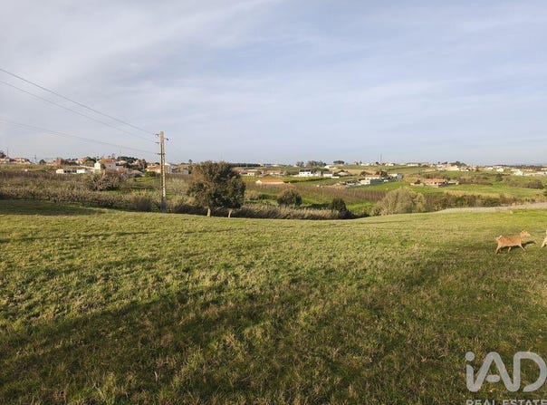 Cela, Leiria 2460