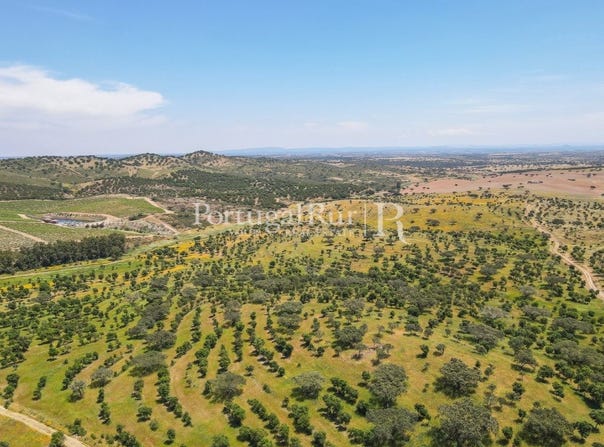 Corval, Évora 7200
