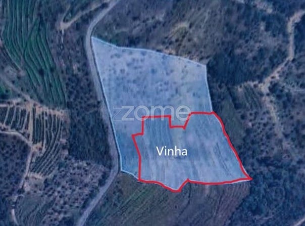 Sabrosa, Vila Real District