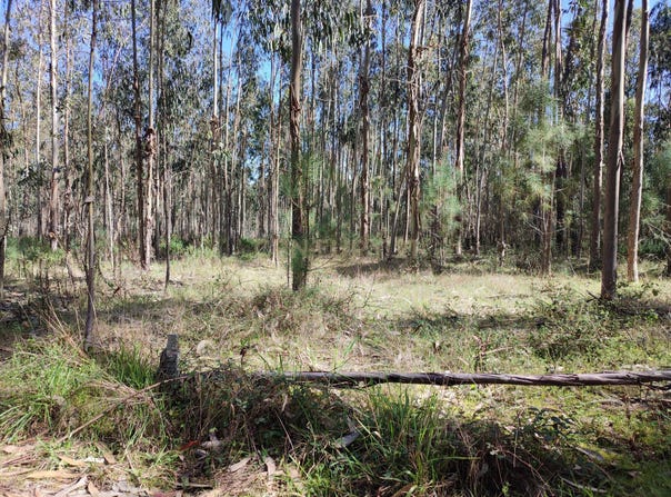 Estolas, Maceira, Leiria District 2405-022