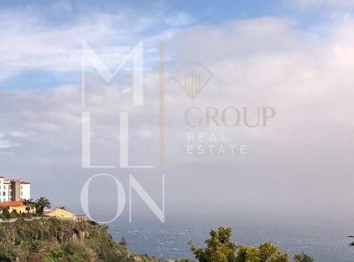 CANIÇO, Madeira