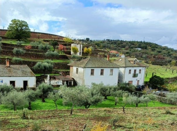 Touca, Guarda District