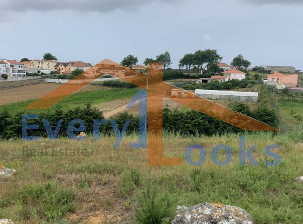 Peniche, Leiria District