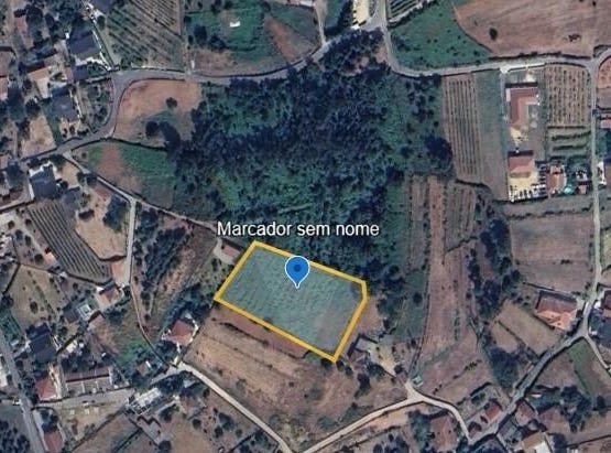 BELA, Viana do Castelo District