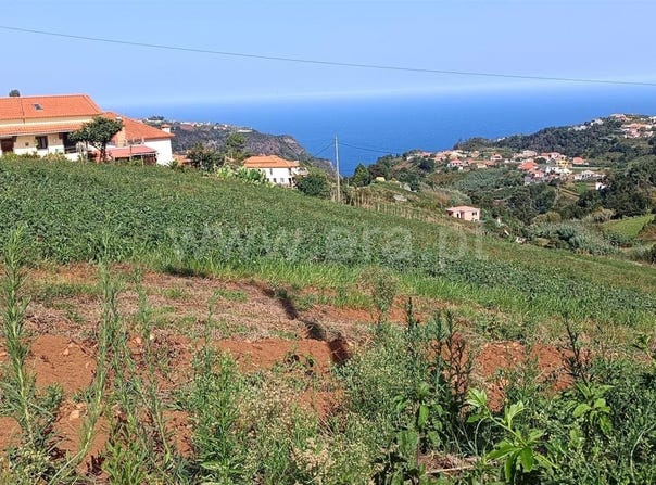 Santana, Madeira 9230