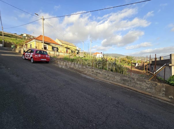 Canhas, Madeira 9360