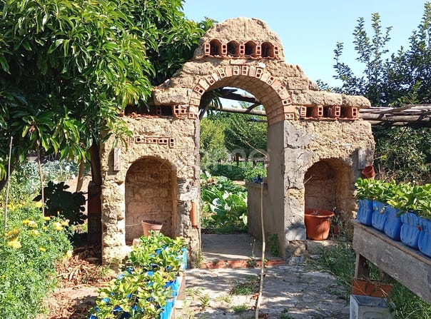 Cantanhede, Coimbra District