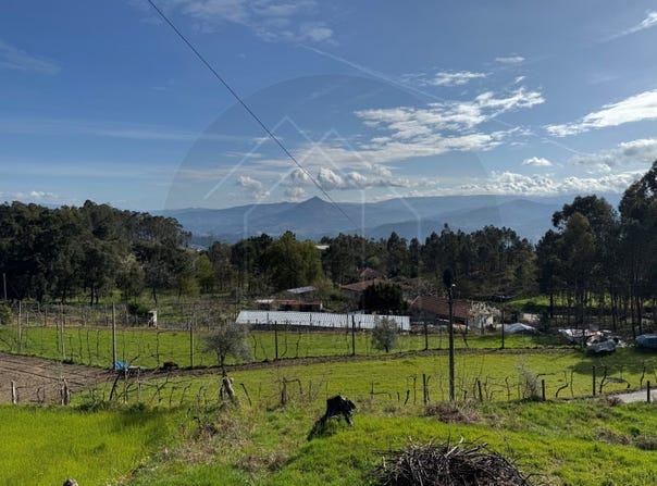 Britelo, Braga