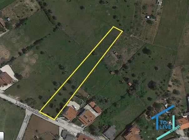 Tomar, Santarém District 2300-616