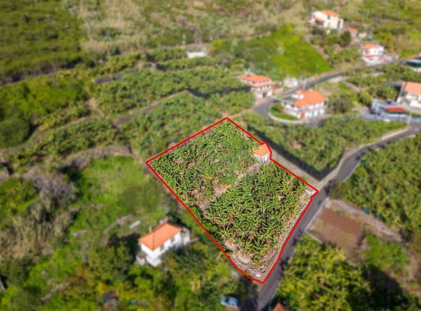 Tábua, Madeira 9350