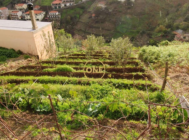 ESTREITO CÂMARA DE LOBOS, Madeira