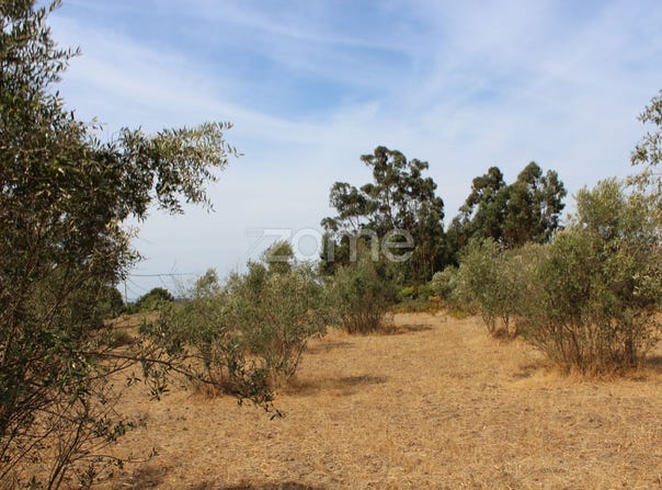 Seia, Guarda District