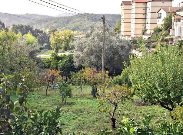 Ceira, Coimbra 3220