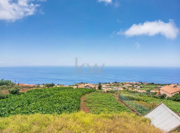 Canhas, Madeira 9360