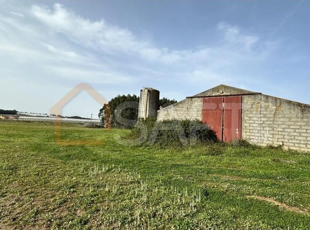 Maceira, Lisbon 2565