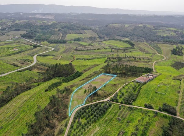 Coz, Leiria District