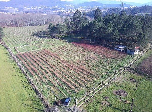 Amares, Braga