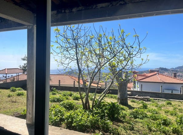 Monte, Madeira 9050