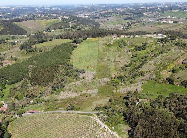 Leiria, Leiria District 2500