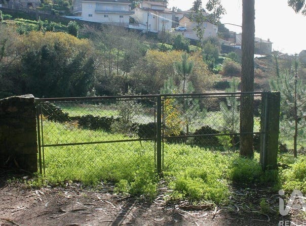 Braga, Braga