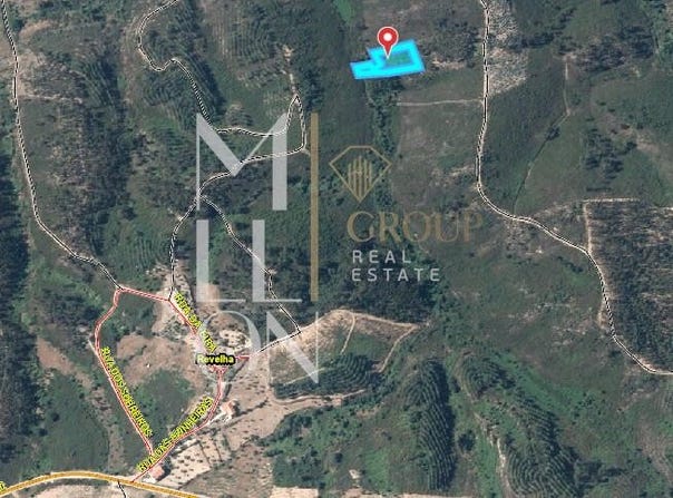 AMÊNDOA, Santarém District