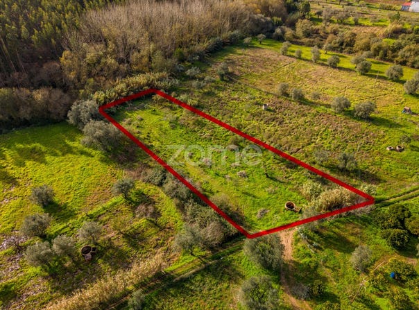 Pombal, Leiria District