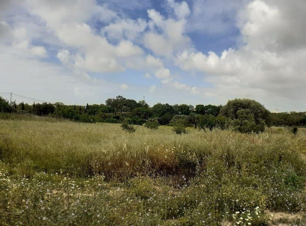 Santa Luzia, Algarve 8800