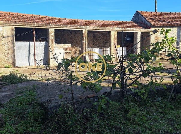 RIO MAU VCD, Porto District