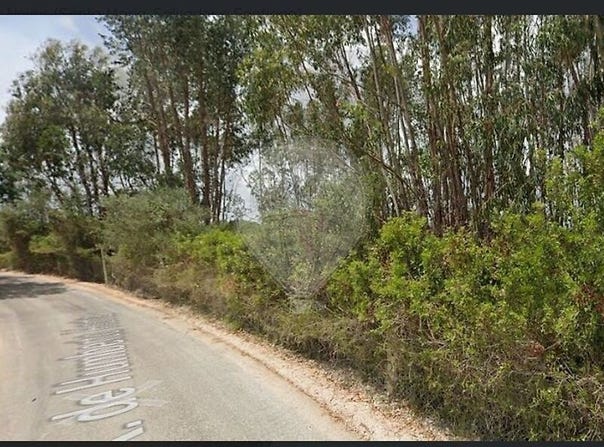 Santarém, Santarém District 2350