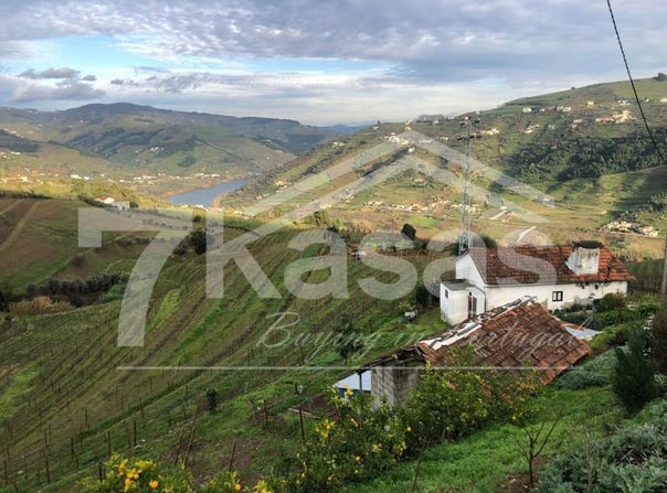 Peso Da Régua, Vila Real 5050