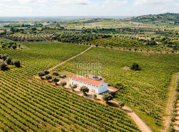 Vila De Frades, Beja 7960