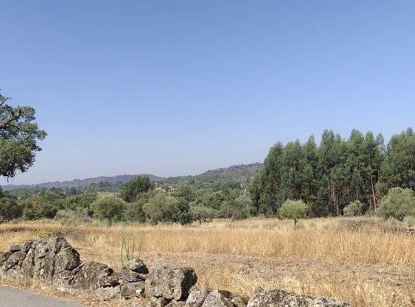 Castelo Branco, Castelo Branco District