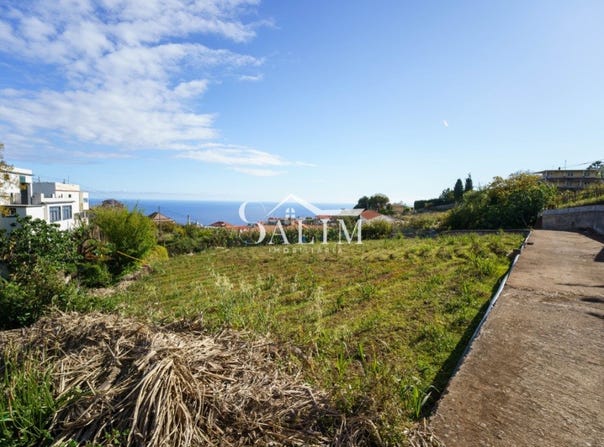 Canhas, Madeira 9360