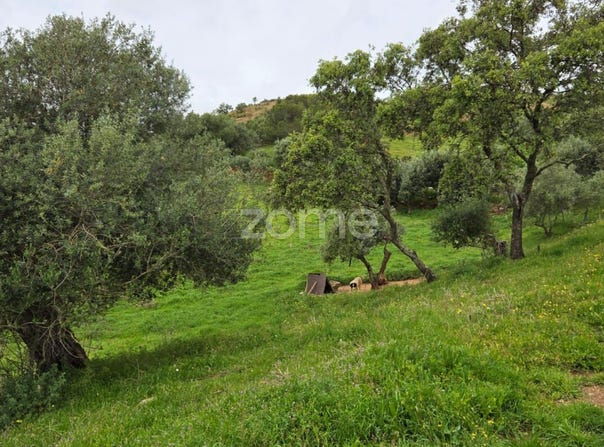 Ourique, Beja District