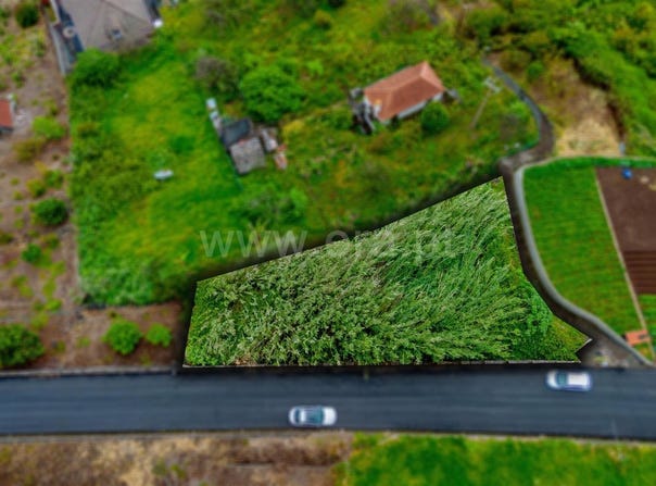 Faial, Madeira 9230