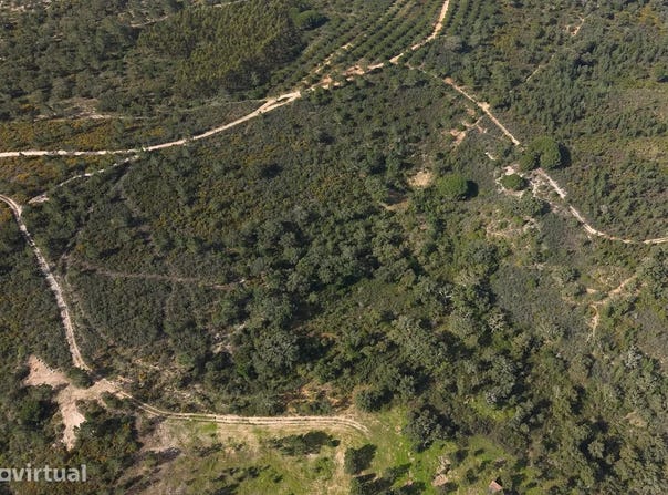 Melides, Setubal