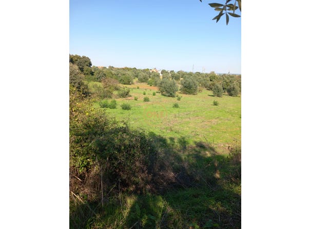 Cabeço da Mata, Santarém District