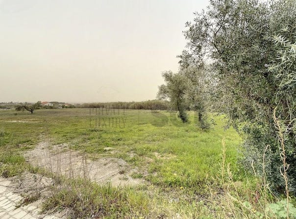Quinta Do Anjo, Setúbal 2950