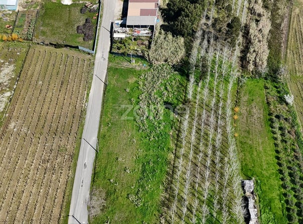 Anadia, Aveiro District
