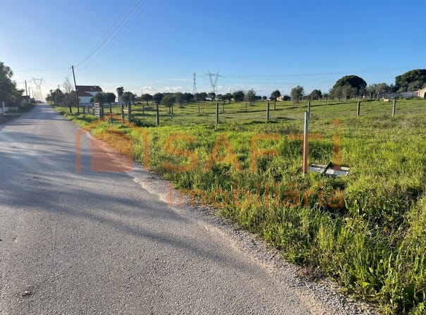 Brogueira, Santarém District
