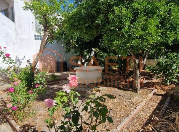 Pinhal Novo, Setúbal 2955