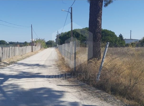Quinta do Anjo, Setubal